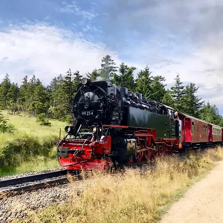 Kastanie Mit Balkon #netflix #innenstadtnaehe Von Harztraveler 바트하르추부르크