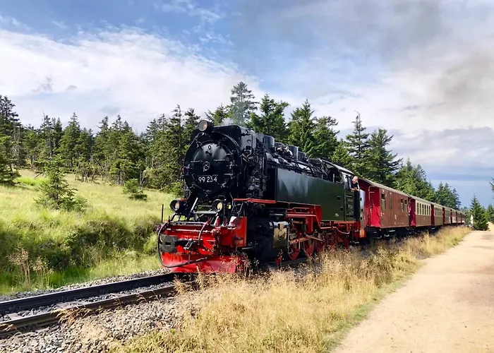 Kastanie Mit Balkon #netflix #innenstadtnaehe Von Harztraveler Bad Harzburg